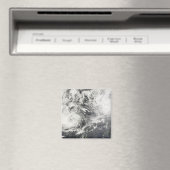 Typhoons Mitag en Hagibis Magneet (Insitu (Vaatwasser))