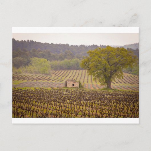 Typically french briefkaart (Voorkant)