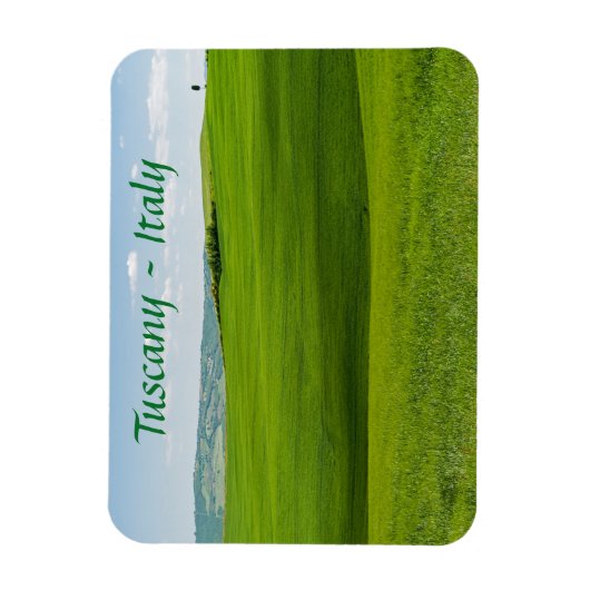 Typisch landschap in Toscane Magneet (Verticaal)