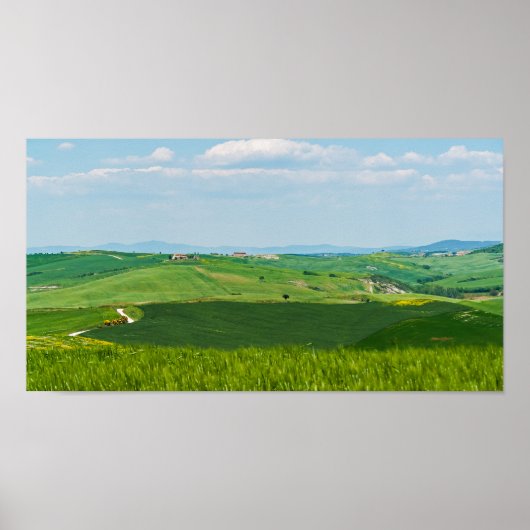 Typisch landschap in Toscane Poster (Voorkant)