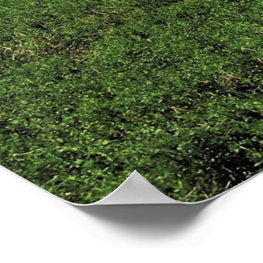 Typisch Nieuw-Zeeland Poster (Hoek)