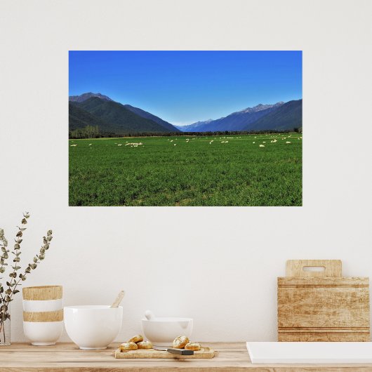 Typisch Nieuw-Zeeland Poster (Keuken)