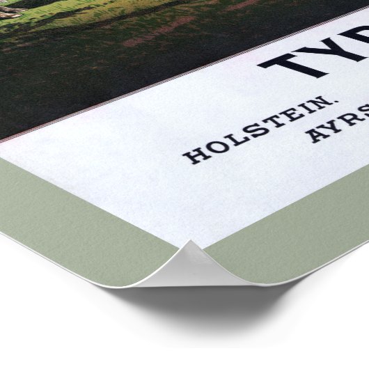 Typisch Poster Koeien (Hoek)