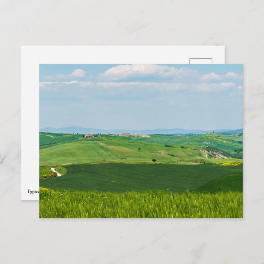 Typisch Toscaans landschap met heuvels - Italië Briefkaart (Voorkant / Achterkant)