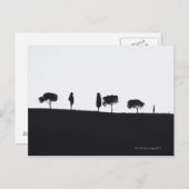 Typische bomen in Toscane Briefkaart (Voorkant / Achterkant)