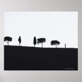 Typische bomen in Toscane Poster (Voorkant)