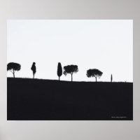 Typische bomen in Toscane
