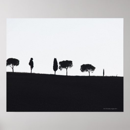 Typische bomen in Toscane Poster (Voorkant)
