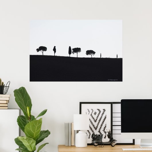 Typische bomen in Toscane Poster (Thuiskantoor)