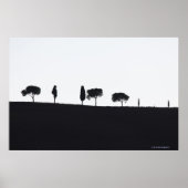 Typische bomen in Toscane Poster (Voorkant)