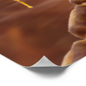 Typische gemyeliseerde gewervelde motorneuronen poster (Hoek)