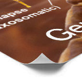 Typische gemyeliseerde gewervelde motorneuronen poster (Hoek)