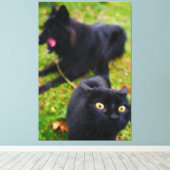 Typische kat en hond capriolen canvas afdruk (Insitu (Houten vloer))