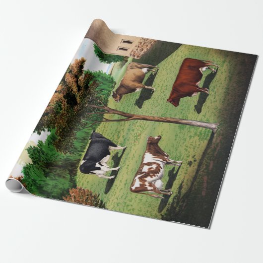 typische koeien Holstein Jersey Short-Horn Cadeaupapier (Uitgerold)