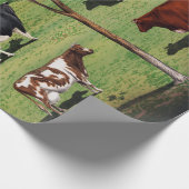  typische koeien Holstein Jersey Short-Horn Cadeaupapier (Hoek)