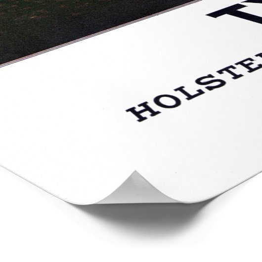  typische Koeien Holstein Jersey Short-Horn Poster (Hoek)