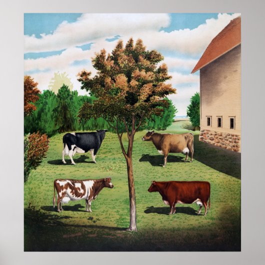 Typische koeien poster (Voorkant)