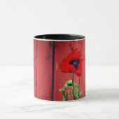 Typische Zweedse Falun-kleuren, rode kleur Mok (Midden)