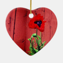 Typische Zweedse Falun-rode kleur