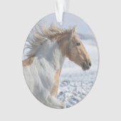 Tyr loopt in de sneeuwsieraar ornament (voorkant)