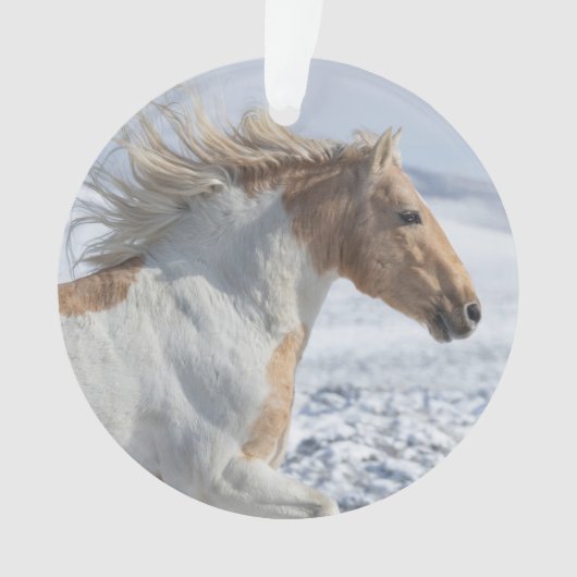 Tyr loopt in de sneeuwsieraar ornament (voorkant)