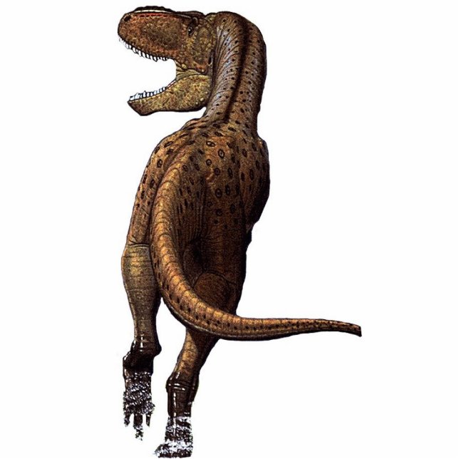 Tyrannosaur Dinosaur Photo Sculpture Staand Fotobeeldje (Voorkant)