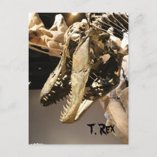 Tyrannosaurus # 2 briefkaart