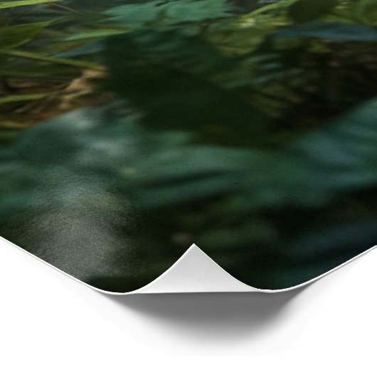 Tyrannosaurus Leuk Prehistorie T-shirt Perfect Poster (Hoek)