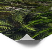 tyrannosaurus-rex-284554 tyrannosaurus rex dinosau poster (Hoek)