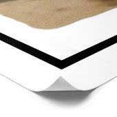 Tyrannosaurus rex #3 poster (Hoek)