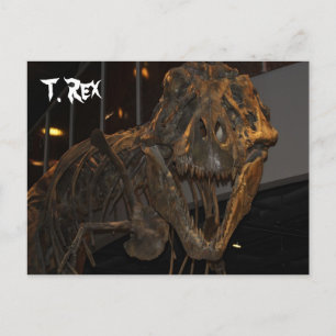 Tyrannosaurus Rex # 5 Briefkaart