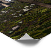 Tyrannosaurus rex aangevallen door triceratops din poster (Hoek)