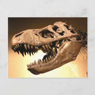 Tyrannosaurus Rex Briefkaart