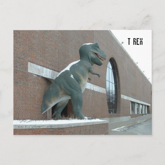 Tyrannosaurus Rex Briefkaart (Voorkant)