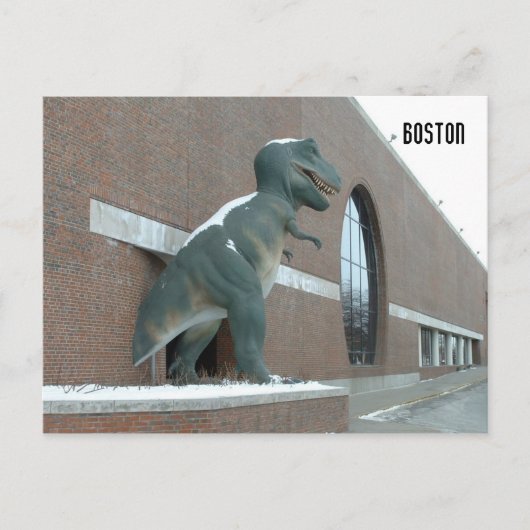 Tyrannosaurus Rex Briefkaart (Voorkant)