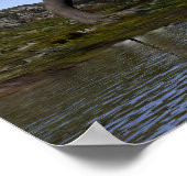 Tyrannosaurus rex dinosaur - 3D rendering Poster (Hoek)