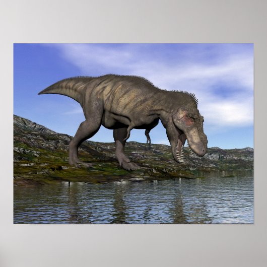 Tyrannosaurus rex dinosaur - 3D rendering Poster (Voorkant)