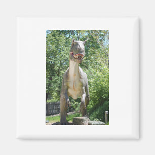 Tyrannosaurus Rex Dinosaur Magneet