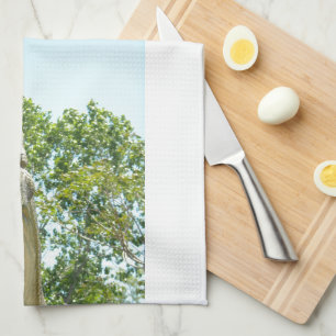 Tyrannosaurus Rex dinosaur Theedoek