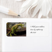 Tyrannosaurus Rex Etiket (Insitu)