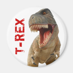 Tyrannosaurus Rex Magneet