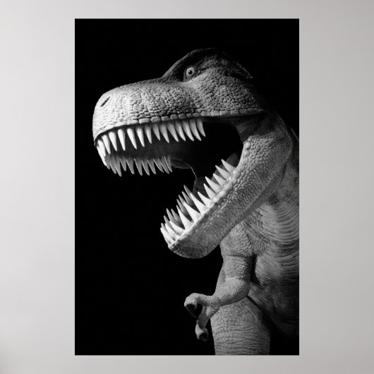 Tyrannosaurus Rex Poster (Voorkant)