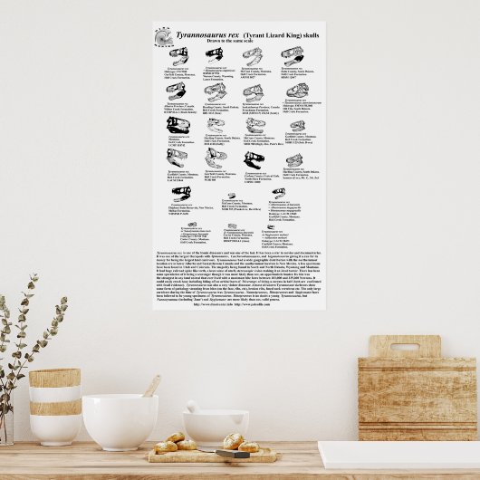 Tyrannosaurus rex poster (Keuken)