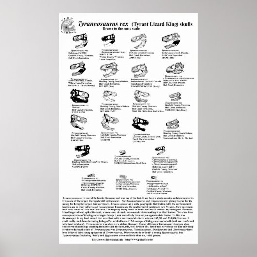 Tyrannosaurus rex poster (Voorkant)