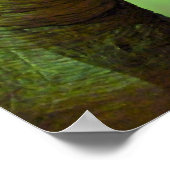 Tyrannosaurus Rex Poster (Hoek)