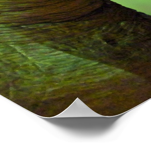 Tyrannosaurus Rex Poster (Hoek)