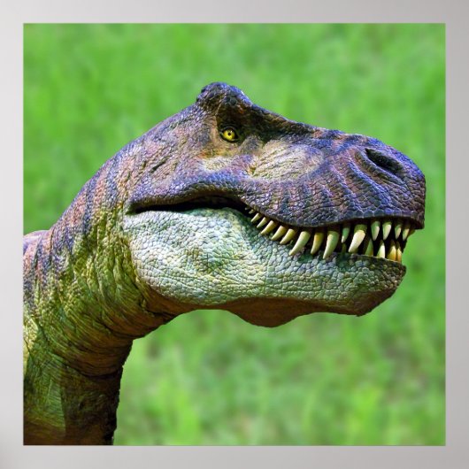 Tyrannosaurus Rex Poster (Voorkant)