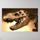 Tyrannosaurus Rex Poster (Voorkant)