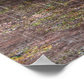 Tyrannosaurus Rex Poster (Hoek)