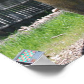 Tyrannosaurus T-Rex Dinosaur Poster (Hoek)